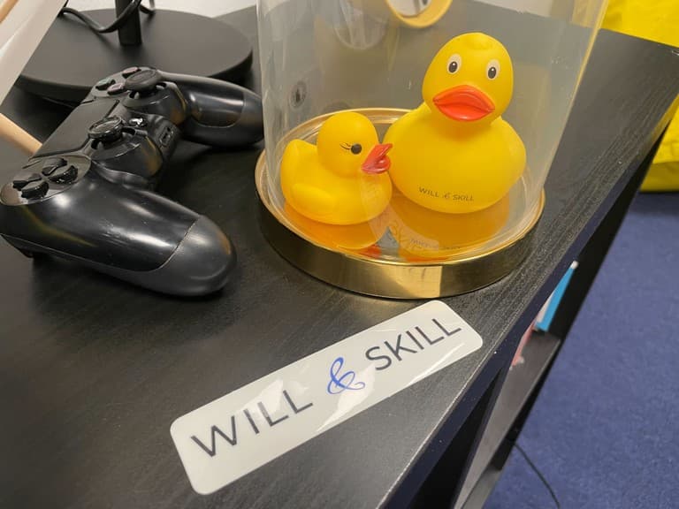 Will & skill ducks
